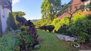Unser Garten am 26. Mai 2024