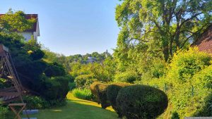 Unser Garten am 26. Mai 2024
