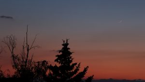 Schmale Mondsichel am 7. Juni 2024 am NW-Himmel von Eisingen