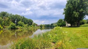 Der Main bei Sommerhausen am 12. Juni 2024