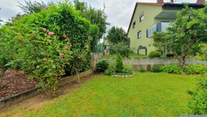 Unser Garten am 21. Juni 2024 - gerade die Grenzen zu den Nachbarn bedürfen immer wieder der Pflege.