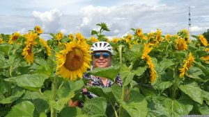 Mäggi Schmitt am 17. Juli 2024 im Sonnenblumenfeld