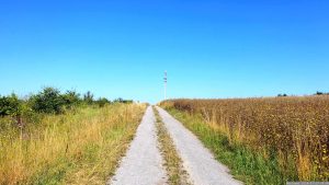 Feldweg entlang der A3 Nähe der AS Helmstadt