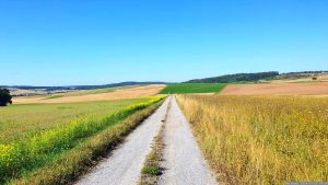 Feldweg bei Helmstadt im Landkreis Würzburg