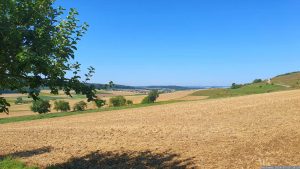 Blick nach von der Ortsverbindungsstraße Helmstadt - Holzkirchen nach Holzkirchhausen und Wertheim