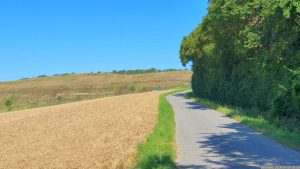 Ortsverbindung von Helmstadt nach Holzkirchen im westlichen Lkr. Würzburg
