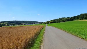 Haferfeld bei Greußenheim