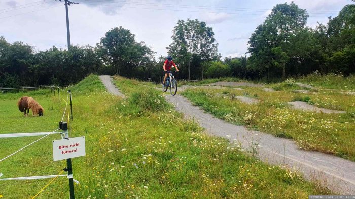 Bikepark Eisingen - Bild zum YouTube Video vom 7. August 2024