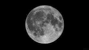 Vollmond am 19. August 2024 - Blue Moon - dritter Vollmond in einer Jahreszeit mit vier Vollmonden.