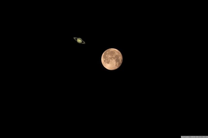Saturnbeckung am 21. August 2024 durch den abnehmenden Mond.