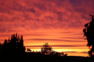 Abendrot am 19. Oktober 2024