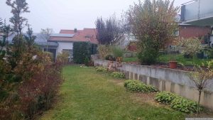 Unser Garten am 9. November 2024 nach Entfernen von vier Halbstamm-Apfelbäumen