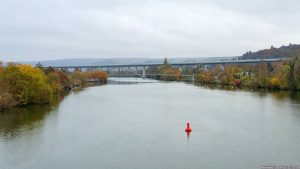 Blick vom Ludwig-Volk-Steg mainaufwärts zum Höchheimer Steg am 11. November 2024