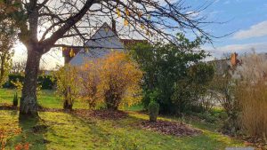 Unser Garten am 25. November 2024