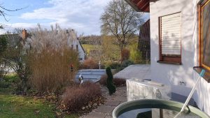 Unser Garten am 25. November 2024