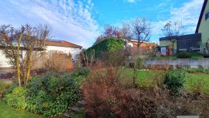 Unser Garten am 25. November 2024