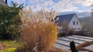 Unser Garten am 29. November 2024