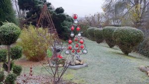 Unser Garten am 1. Dezember 2024 - 1. Advent und meteorologischer Winteranfang