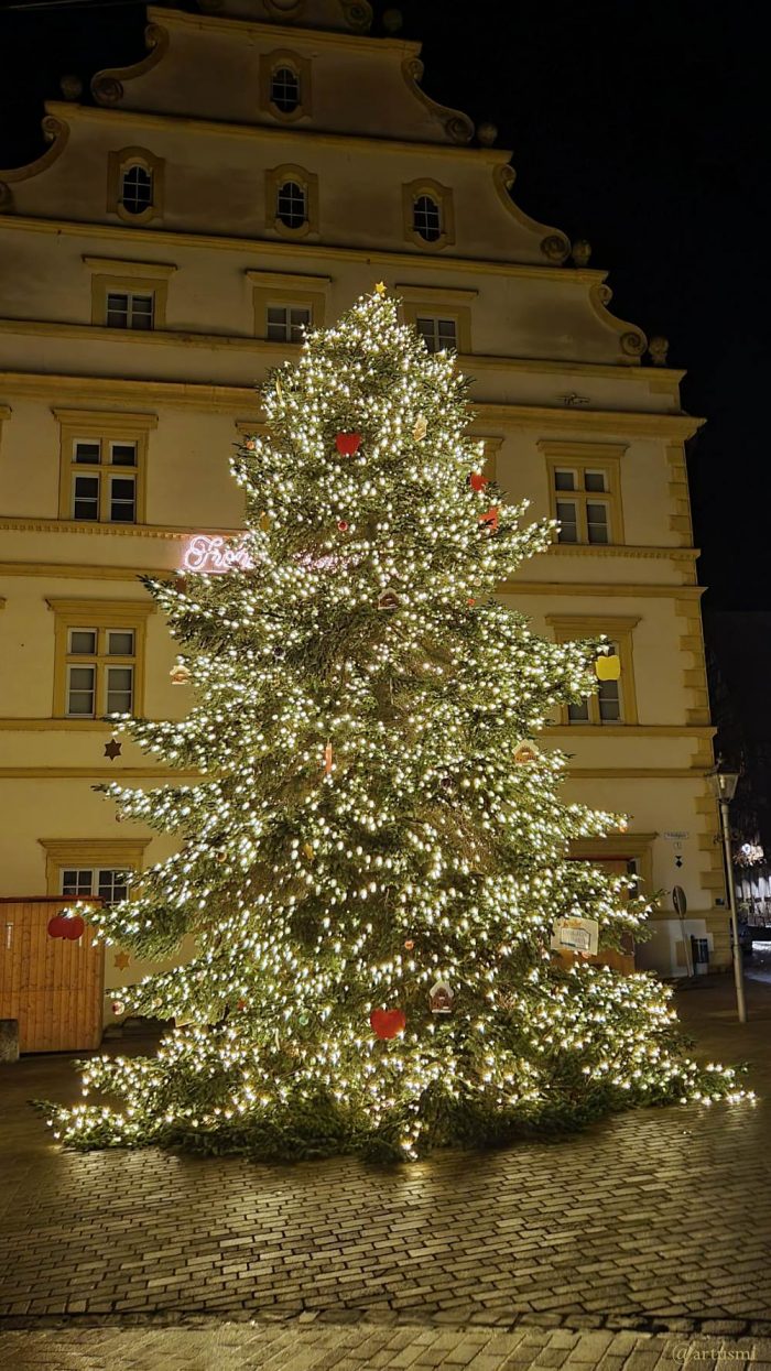 Christbaum am Seinheimschen Schloss in Marktbreit am 3. Dezember 2024