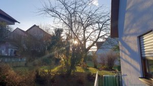 Unser Garten am 8. Dezember 2024 (2. Advent)