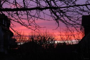Morgenrot am 25. Dezember 2024