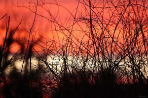 Morgenrot am 25. Dezember 2024