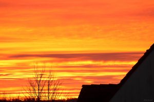 Morgenrot am 25. Dezember 2024