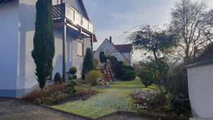 Unser Garten am 1. Januar 2025