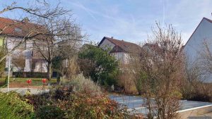 Unser Garten am 1. Januar 2025