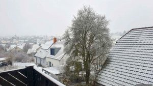 Wetterbild aus Eisingen vom 2. Januar 2025