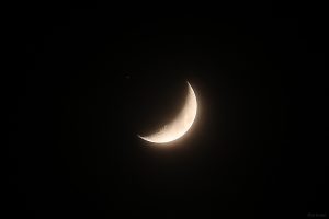 Konstellation Saturn - Mond am 4. Januar 2025 um 18:26 Uhr, vor der Bedeckung des Ringplaneten.