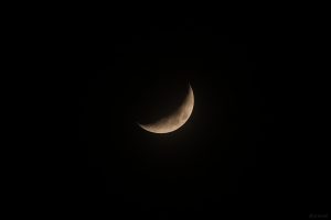 Der zunehmende Mond am 4. Januar 2025 um 19:33 Uhr, während der Bedeckung des Ringplaneten Saturn.