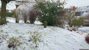 Unser Garten während des Eisregens am 5. Januar 2025