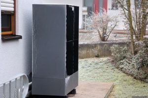 Raureif am 21. Januar 2025 in unserem Garten