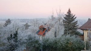 Raureif am 22. Januar 2025