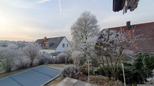 Raureif am 22. Januar 2025 in unserem Garten