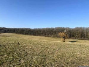 Große Magerwiese am 8. Februar 2025 auf unserem Weg zur Burgruine Speckfeld