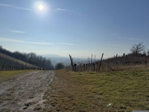 Blick vom Schlossbergsattel zum Bullenheimer Berg