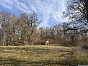 Blick auf die Burgruine Speckfeld am 8. Februar 2025
