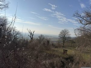 Blick von der Burgruine Speckfeld in Richtung Markt Einersheim