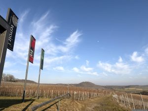 terroir f Markt Einersheim – Wein und Adel am 8. Februar 2025