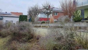 Unser Garten am 1. März 2025
