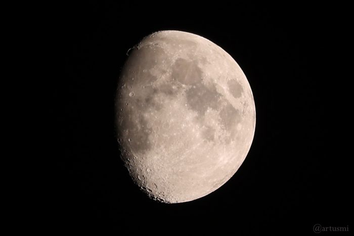 Goldener Henkel am 9. März 2025 am zunehmenden Mond