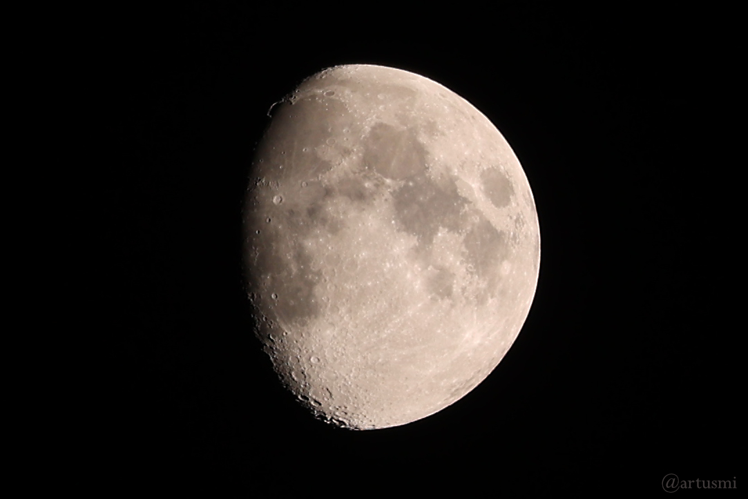 Goldener Henkel am 9. März 2025 am zunehmenden Mond
