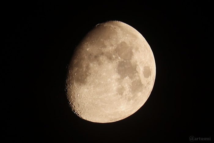 Goldener Henkel am 10. März 2025 am zunehmenden Mond