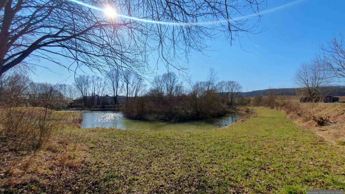 Landschaftsteich bei Greußenheim am 16. März 2025