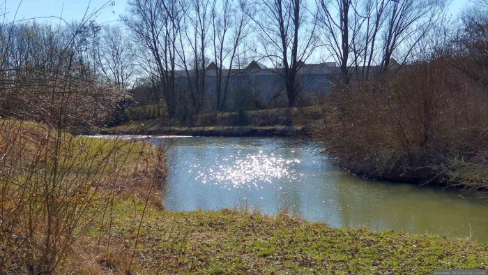Landschaftsteich bei Greußenheim am 16. März 2025