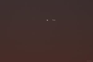 Planet Venus am 16. März 2025 am Westhimmel durch ein 400 mm Objektiv gesehen.