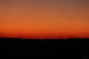 Planet Venus am 19. März 2025 am Westhimmel