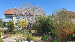 Unser Garten am 11. April 2025